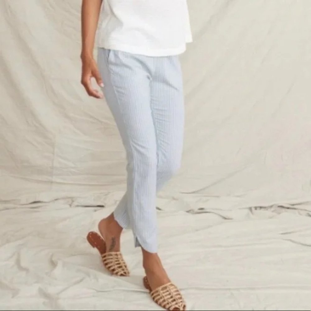 Marine Layer Blue Striped Ankle Pants